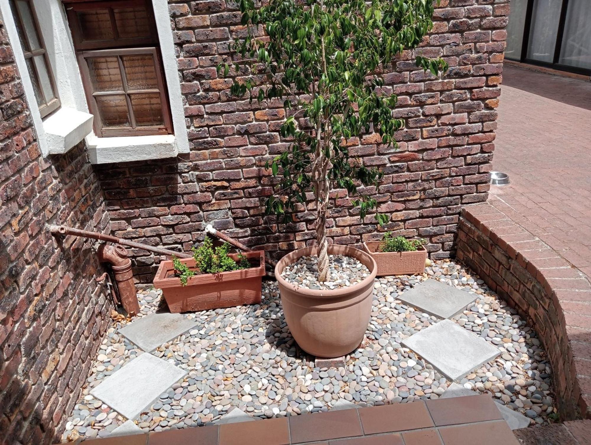 Marinda'S B&B Cape Town Ngoại thất bức ảnh