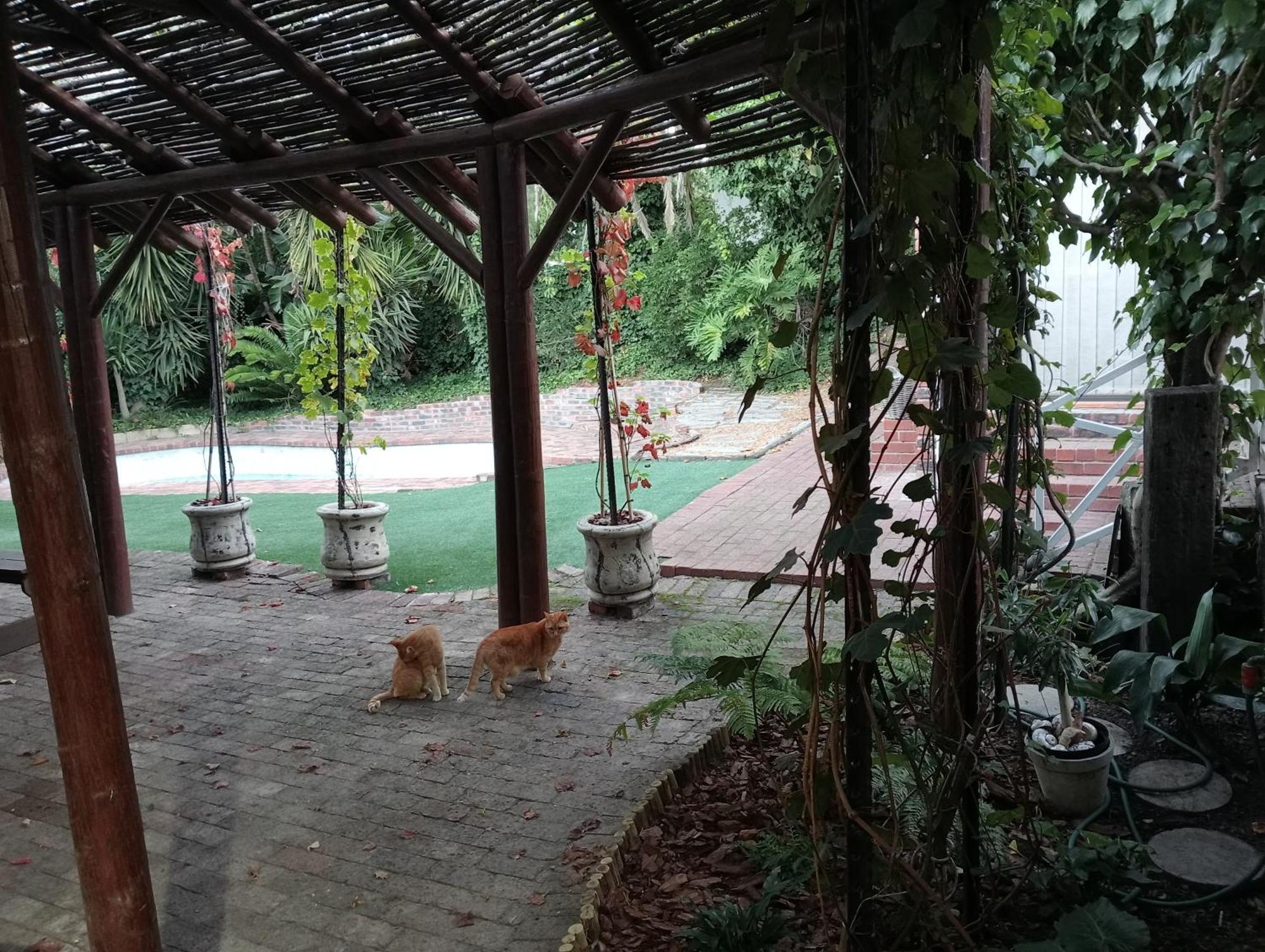 Marinda'S B&B Cape Town Ngoại thất bức ảnh